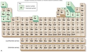 Periodic table highlighting biologically important elements