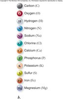 Biologically important elements