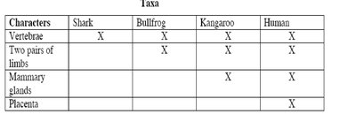 Cladogram with labeled traits