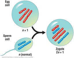 Diagram showing aneuploidy resulting from nondisjunction
