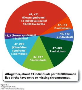 Pie chart of extra/missing chromosomes in live births
