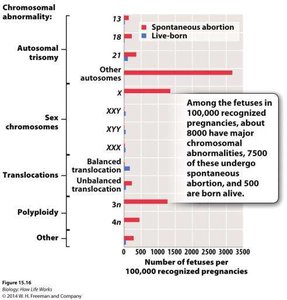 Spontaneous abortion and chromosomal abnormalities