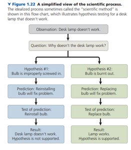 Scientific process flowchart