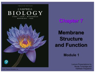 Campbell Biology Chapter 7 cover slide