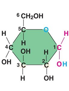 Glucose molecule structure