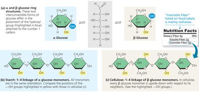 Comparison of starch and cellulose structures