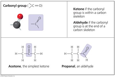 Carbonyl group examples: acetone and propanal
