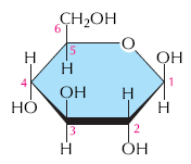 Ring glucose structure