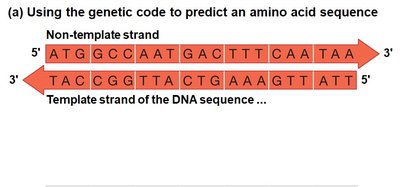 Genetic code table