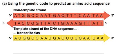 Genetic code table