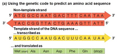 Genetic code table
