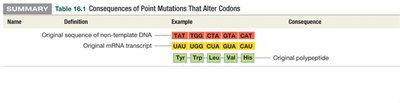 Table of consequences of point mutations