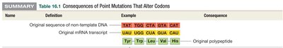 Table of consequences of point mutations