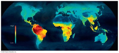 Graph showing species richness of birds and mammals peaking at the equator