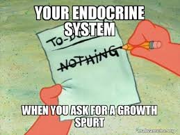 Endocrine system and growth spurt meme