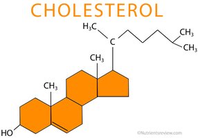 Cholesterol structure