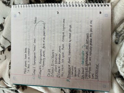 Handwritten notes on seed plants, including classification and key features