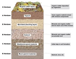 Soil horizons diagram