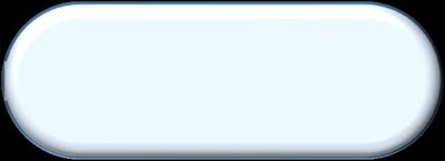 Bacterial cells in rich medium make transporter proteins but not biosynthetic enzymes