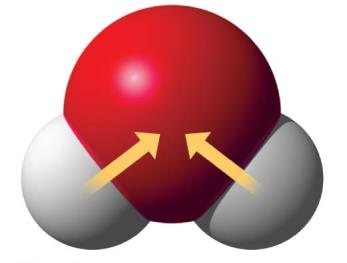 Polarity of water molecule