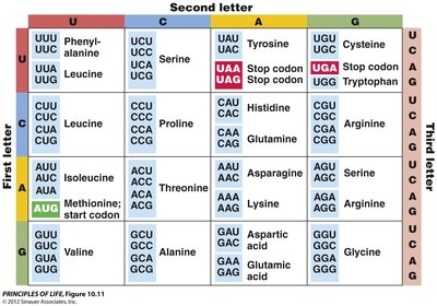 Genetic code table