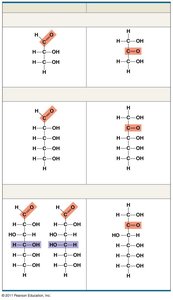 Structure and classification of some monosaccharides