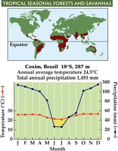 Climate graph for tropical seasonal forests and savannas
