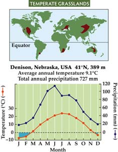 Climate graph for temperate grasslands