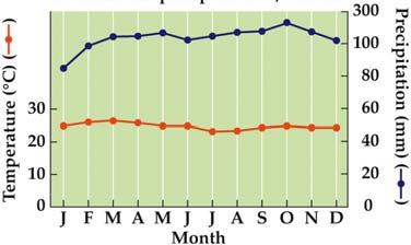 Climate graph for a tropical rainforest
