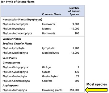 Table of ten phyla of extant plants