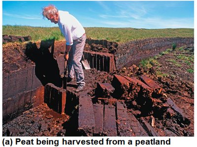 Peat being harvested from a peatland