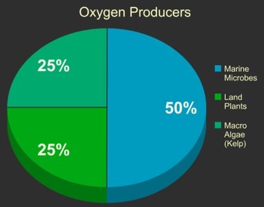 Pie chart of oxygen producers: 50% marine microbes, 25% land plants, 25% macroalgae