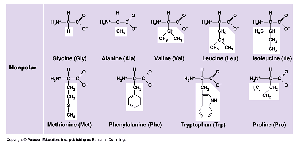 Amino acid side chains
