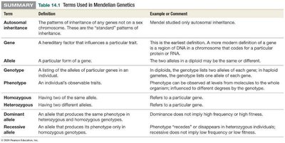 Table of Mendelian genetics terms