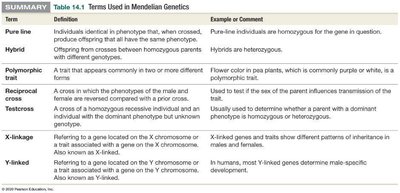 Table of Mendelian genetics terms continued