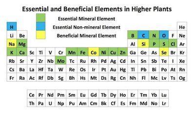 Periodic table highlighting essential and beneficial elements for plants