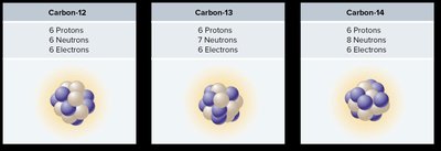 Comparison of carbon isotopes: Carbon-12, Carbon-13, Carbon-14