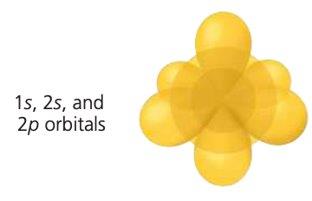 1s, 2s, and 2p orbitals