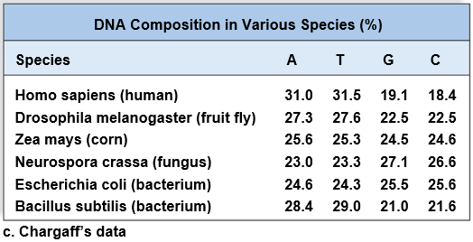 Table of DNA composition in various species (Chargaff's data)