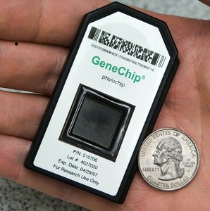GeneChip PhyloChip device for microbial identification