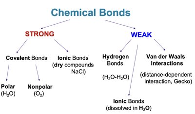 Diagram of strong and weak chemical bonds