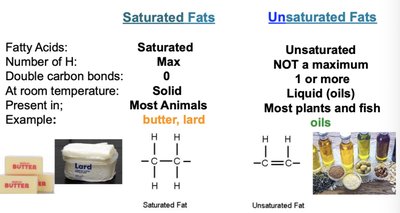Comparison of saturated and unsaturated fats