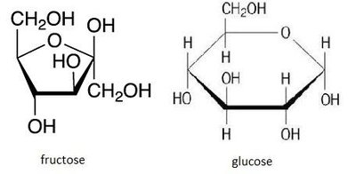 Structures of fructose and glucose