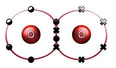 Oxygen molecule