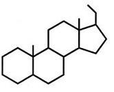 Steroid molecule