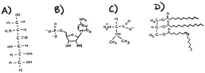 Structures of four biological molecules