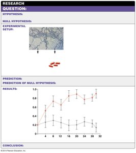 Outcrossing rate in response to pathogens