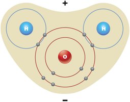 Diagram of a water molecule showing polarity