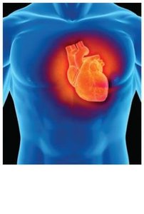 Medical illustration of heart, representing blood clot therapy