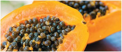 Papaya fruit, representing genetically modified papaya